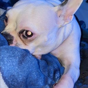 Meet your Posher, Marcel fabian